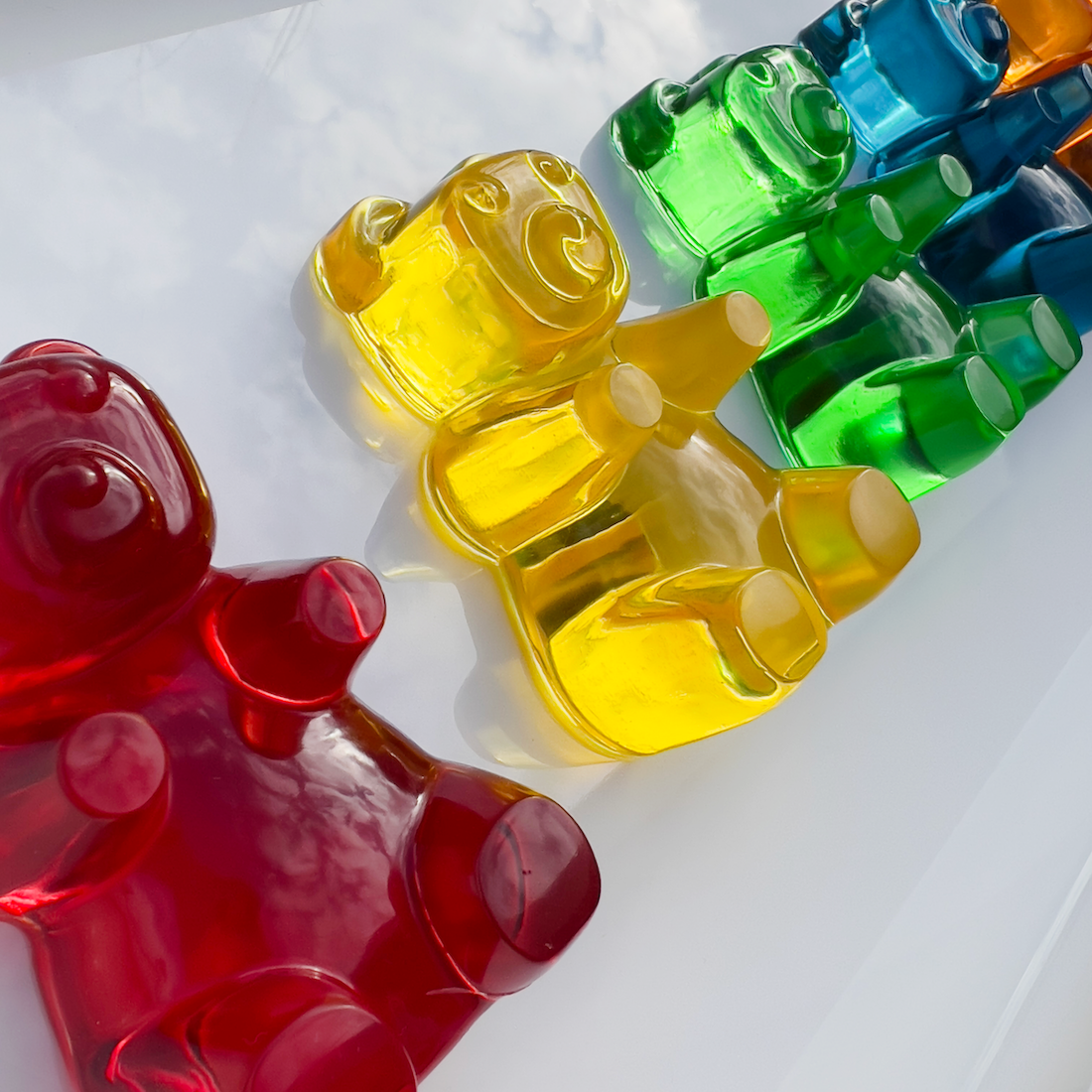 Bears In Bloom Tablo