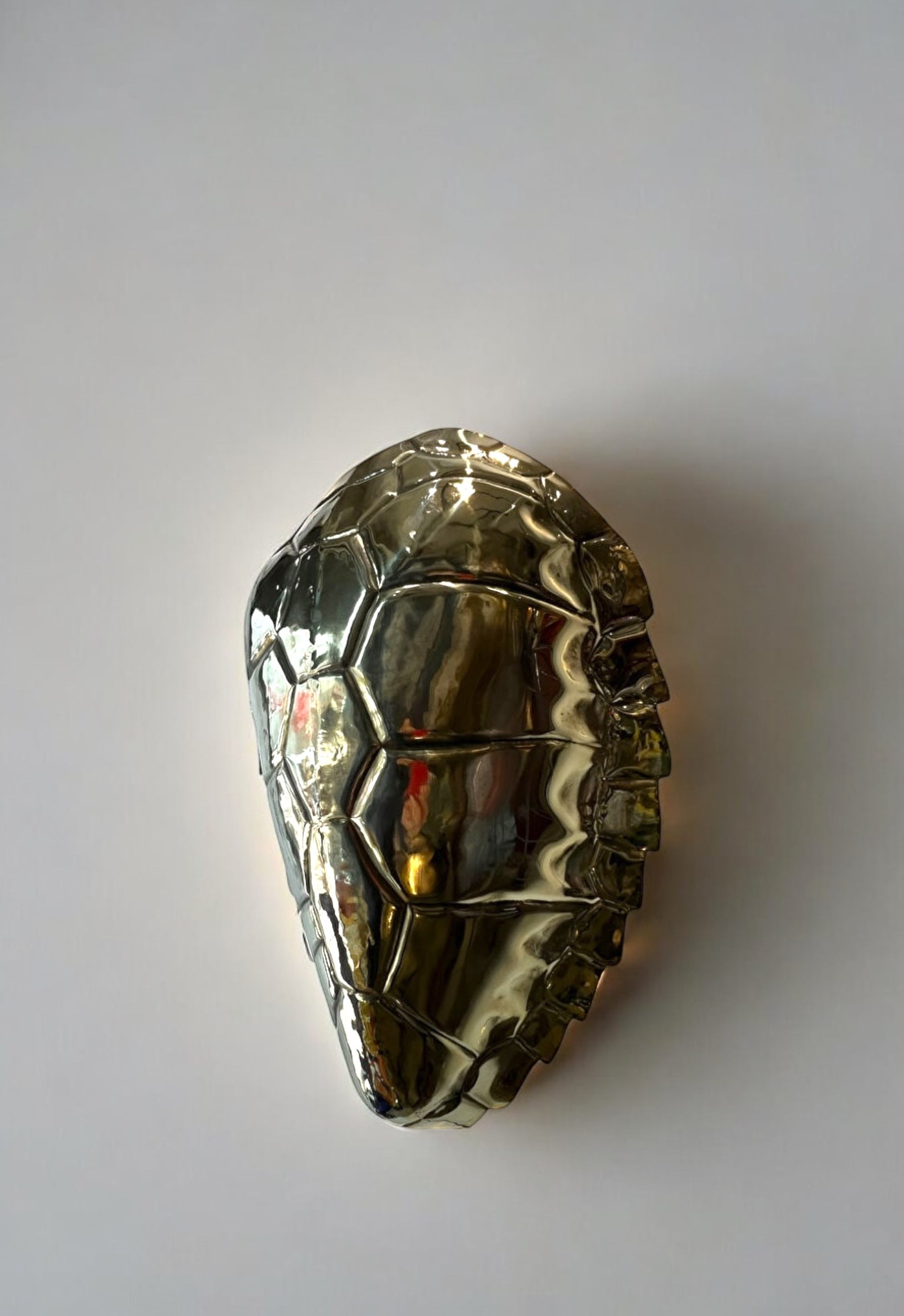 Brass Turtle Duvar Aydınlatması