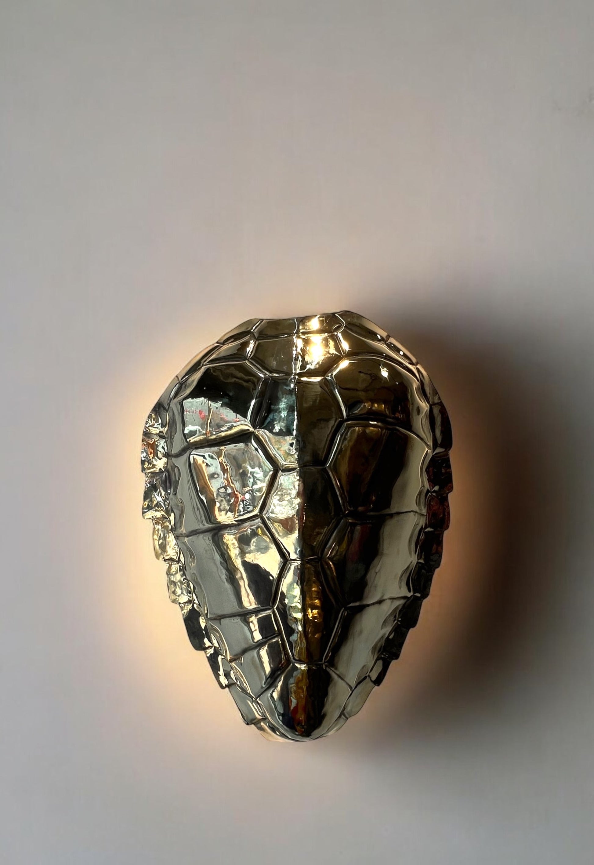 Brass Turtle Duvar Aydınlatması