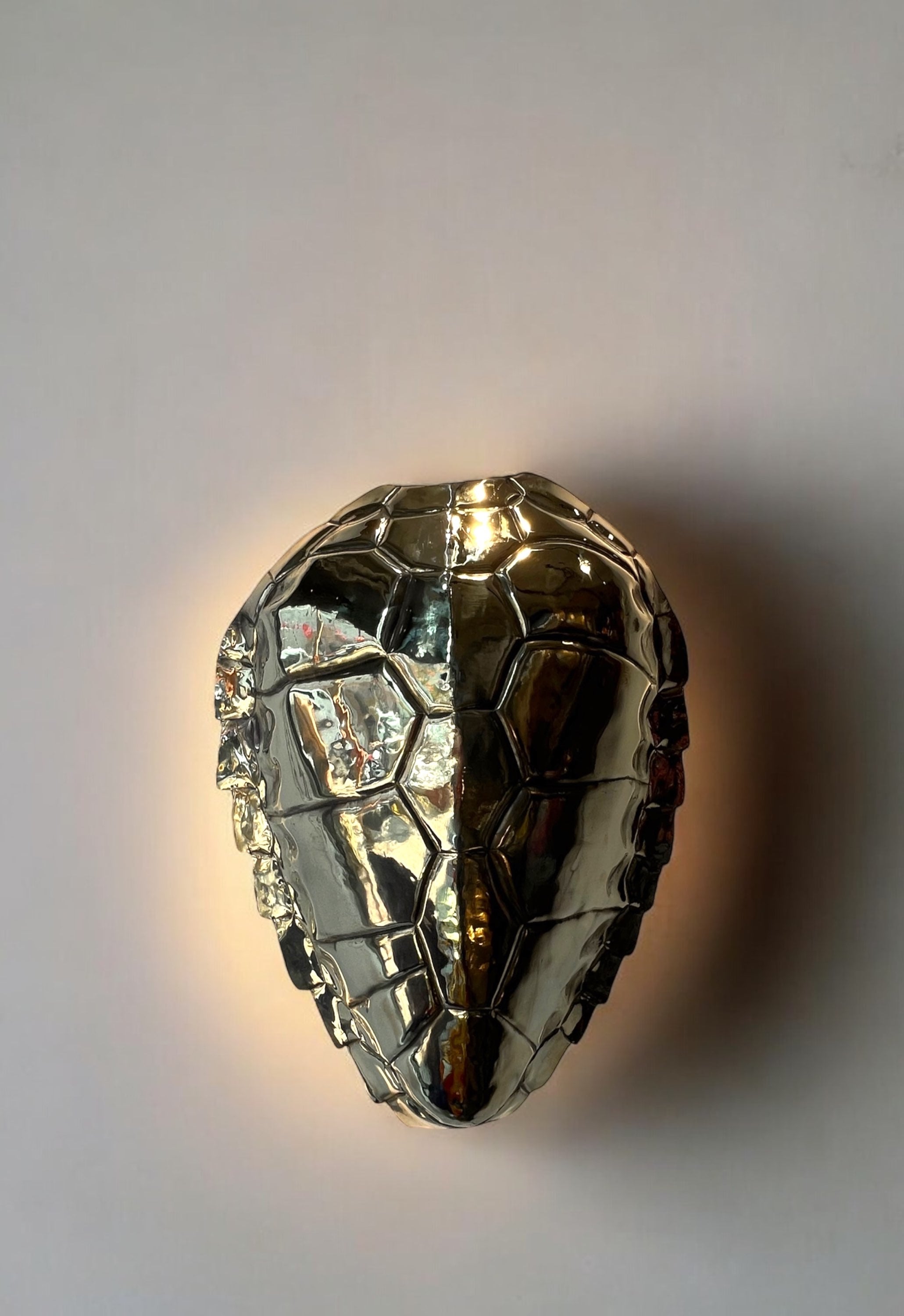 Brass Turtle Duvar Aydınlatması