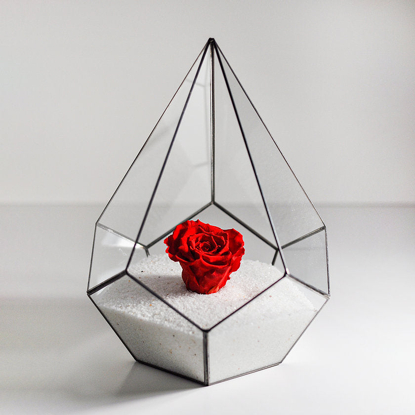 Geometrik Teraryum | Cam Fanus