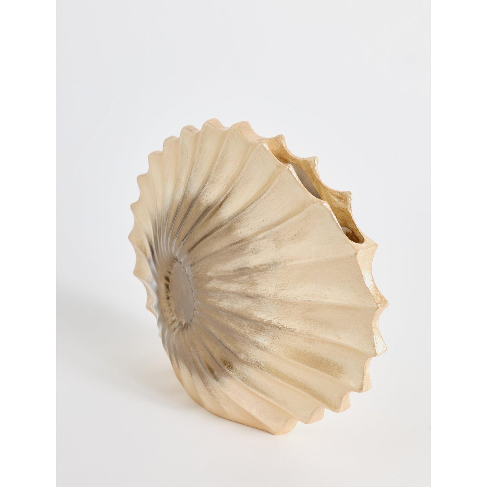 El Boyama Deniz Kabuğu Biblo