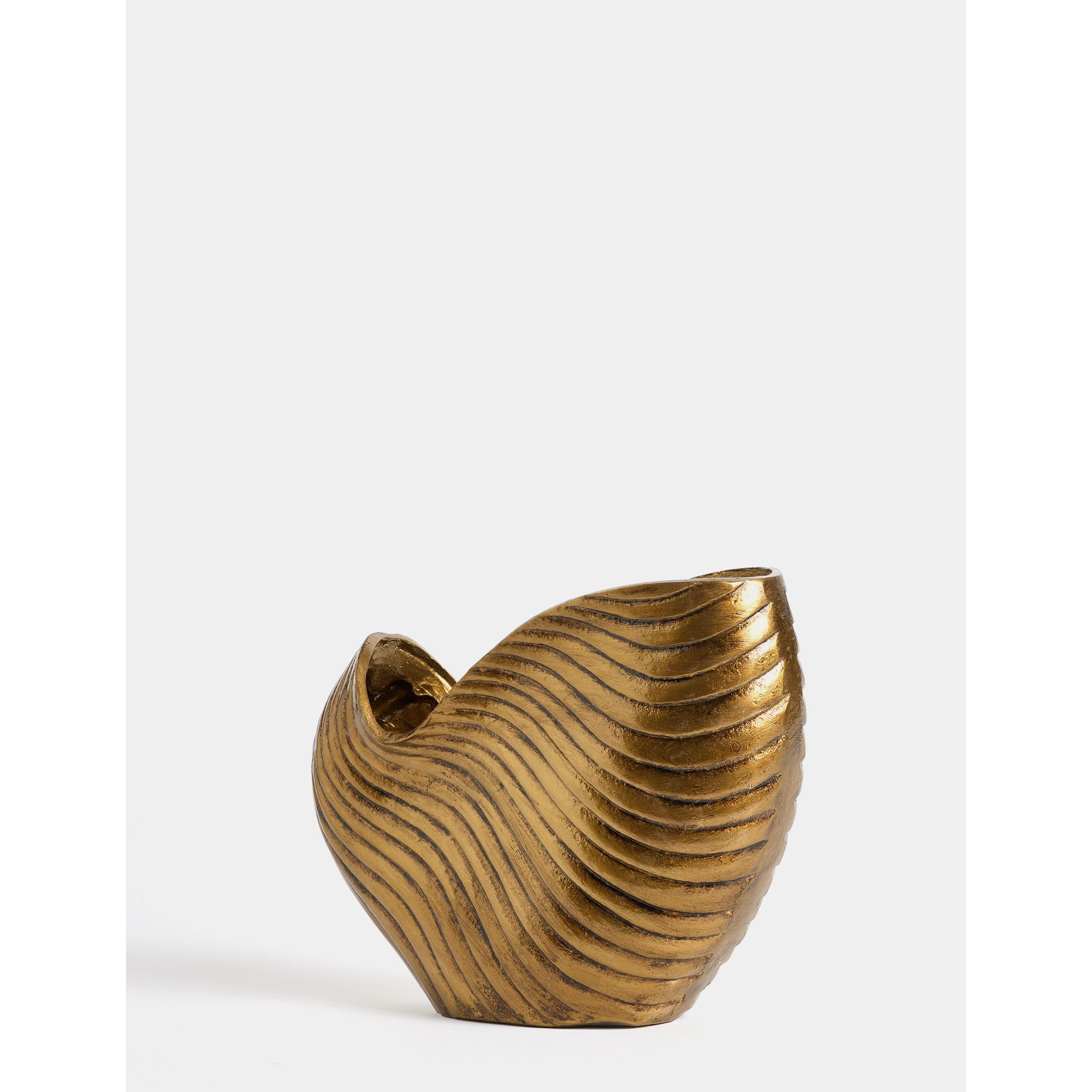 El Boyama İstiridye Biblo