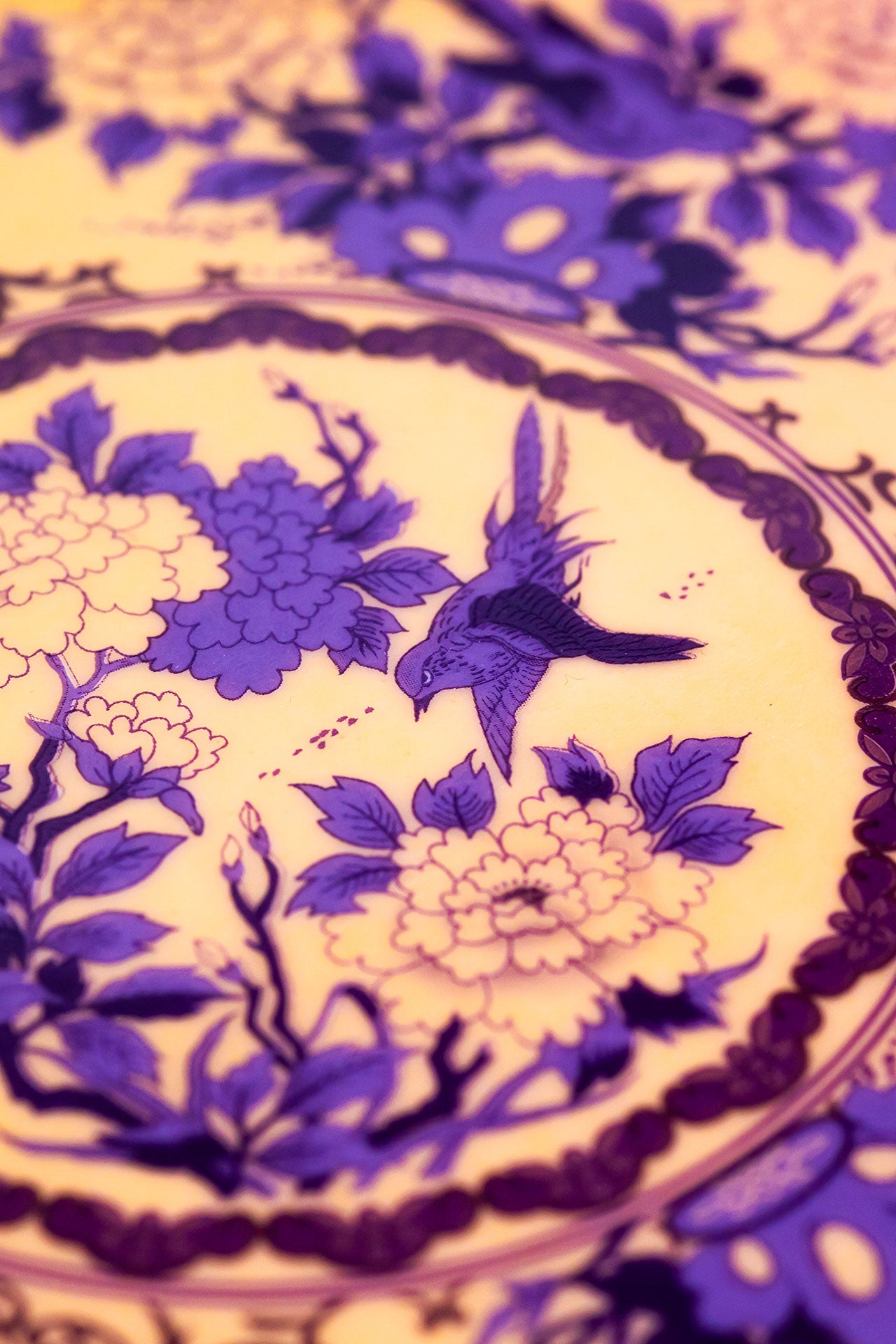 Eternal Lilac Rose Pasta Tabak (2'li Set)