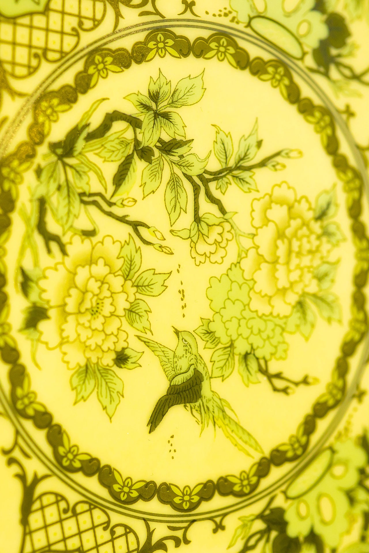 Eternal Milk Yellow Pasta Tabak (2'li Set)