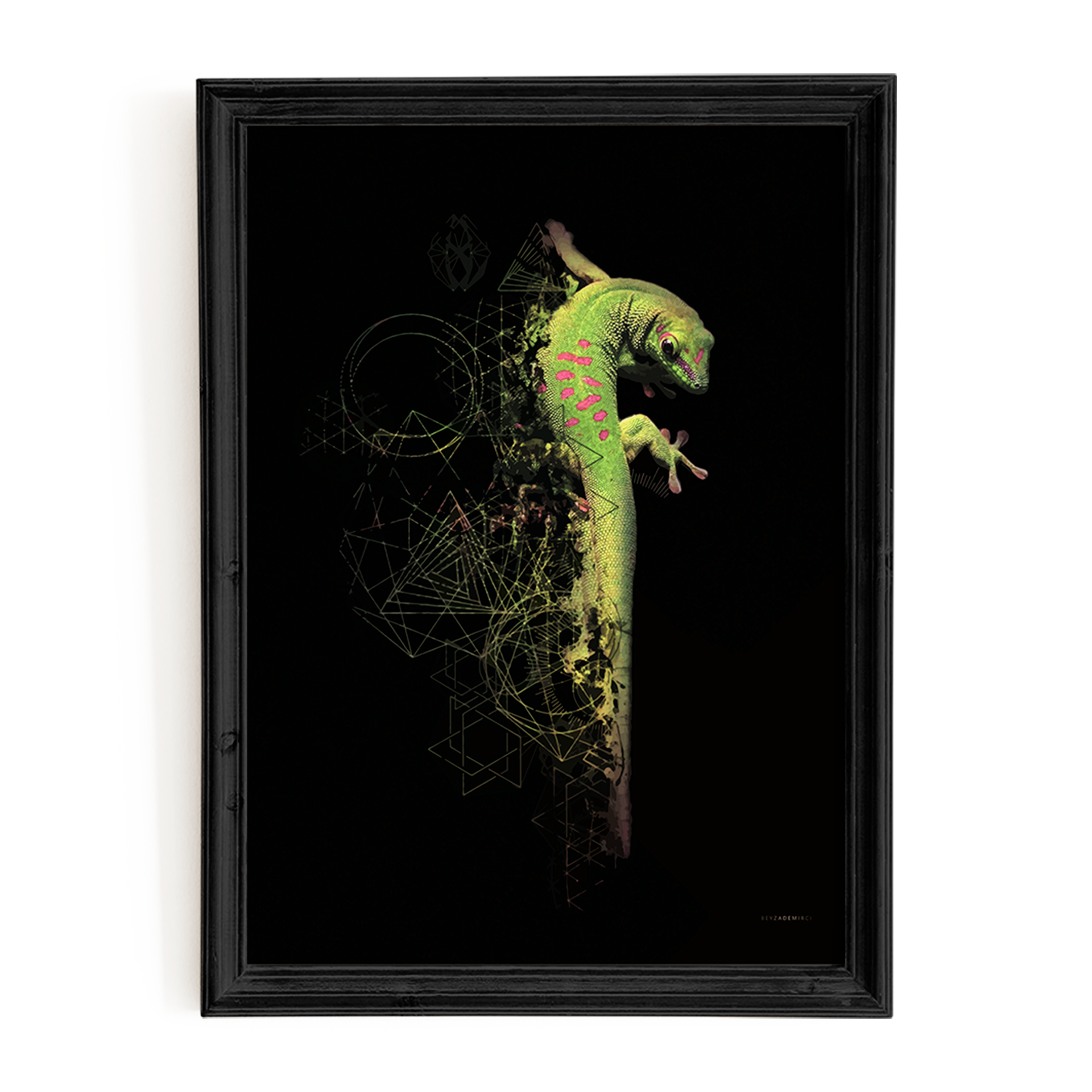 Geko - Fine Art Baskı