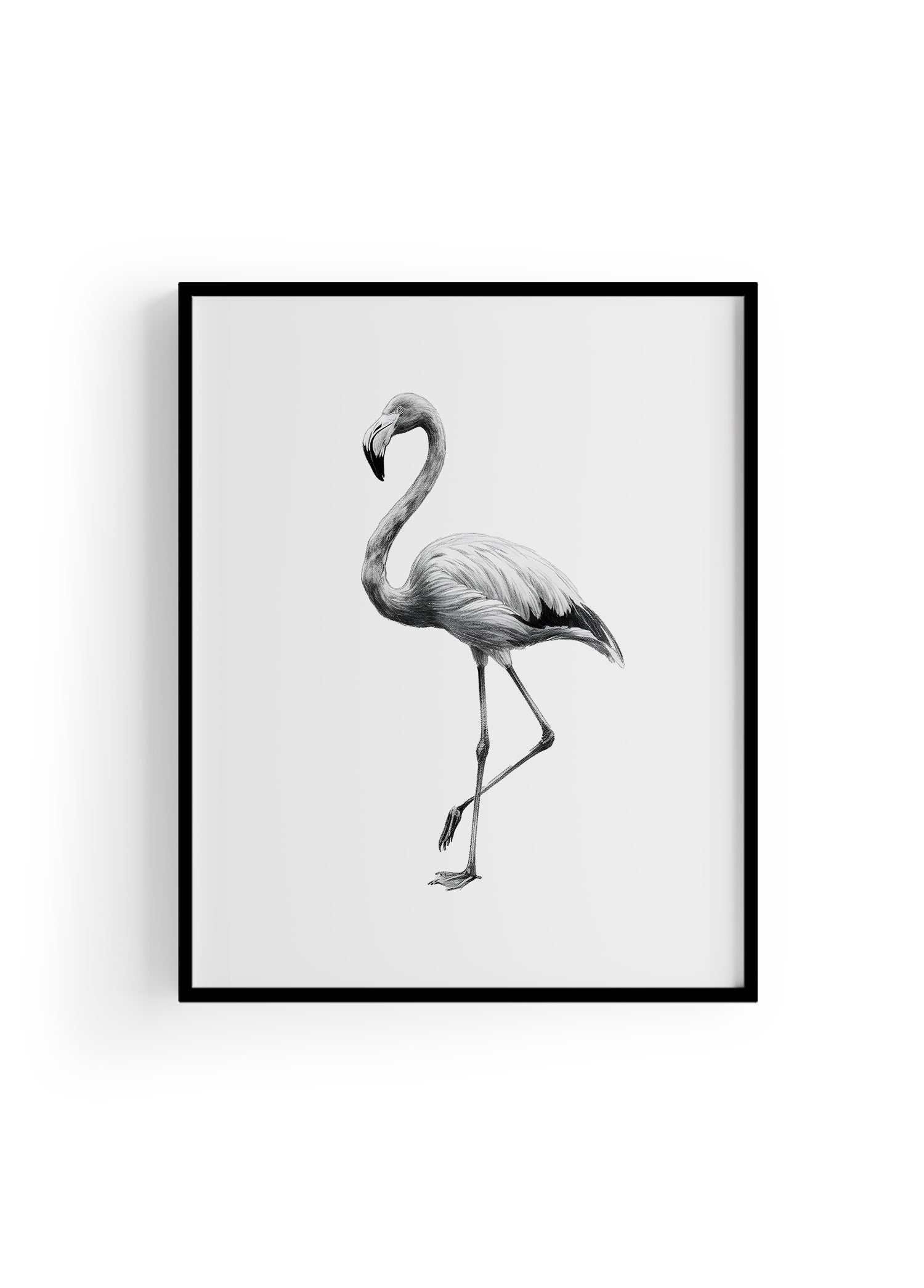 Karakalem Koleksiyonu Flamingo Posteri
