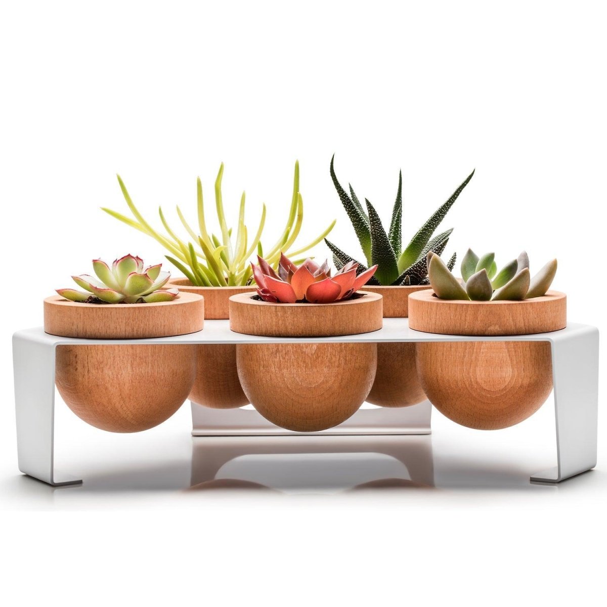 Dew 5'Li Saksı, Metal Standlı Ahşap Saksı Beyaz-Meşe