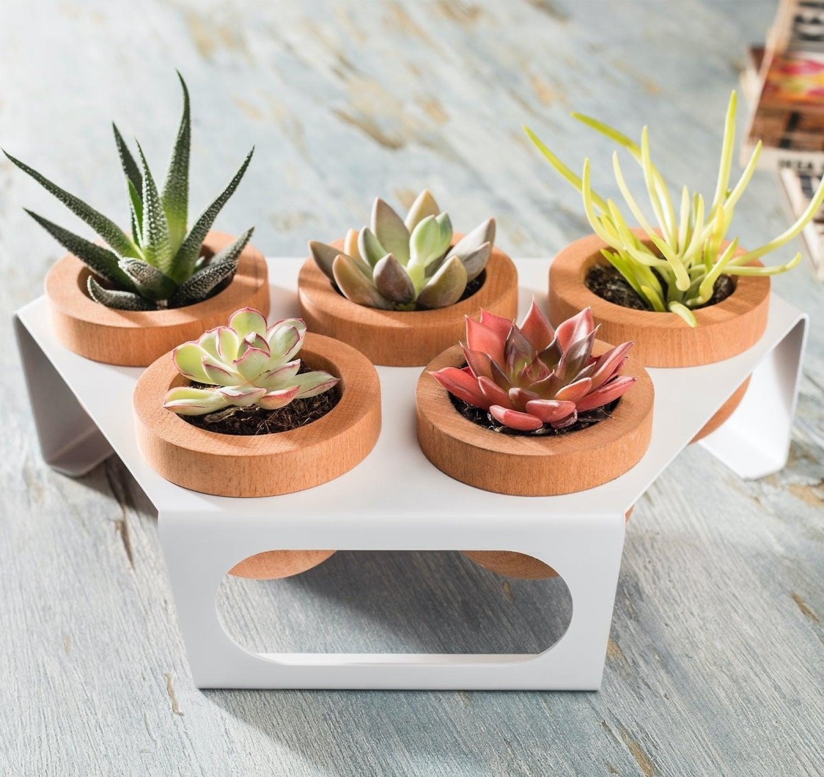 Dew 5'Li Saksı, Metal Standlı Ahşap Saksı Beyaz-Meşe