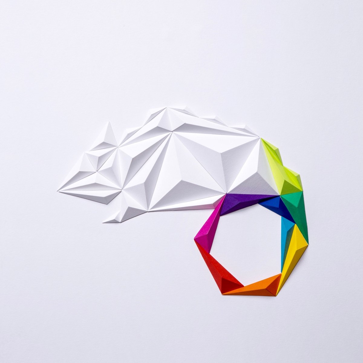 Chamelon - White / Multicolor Tablo