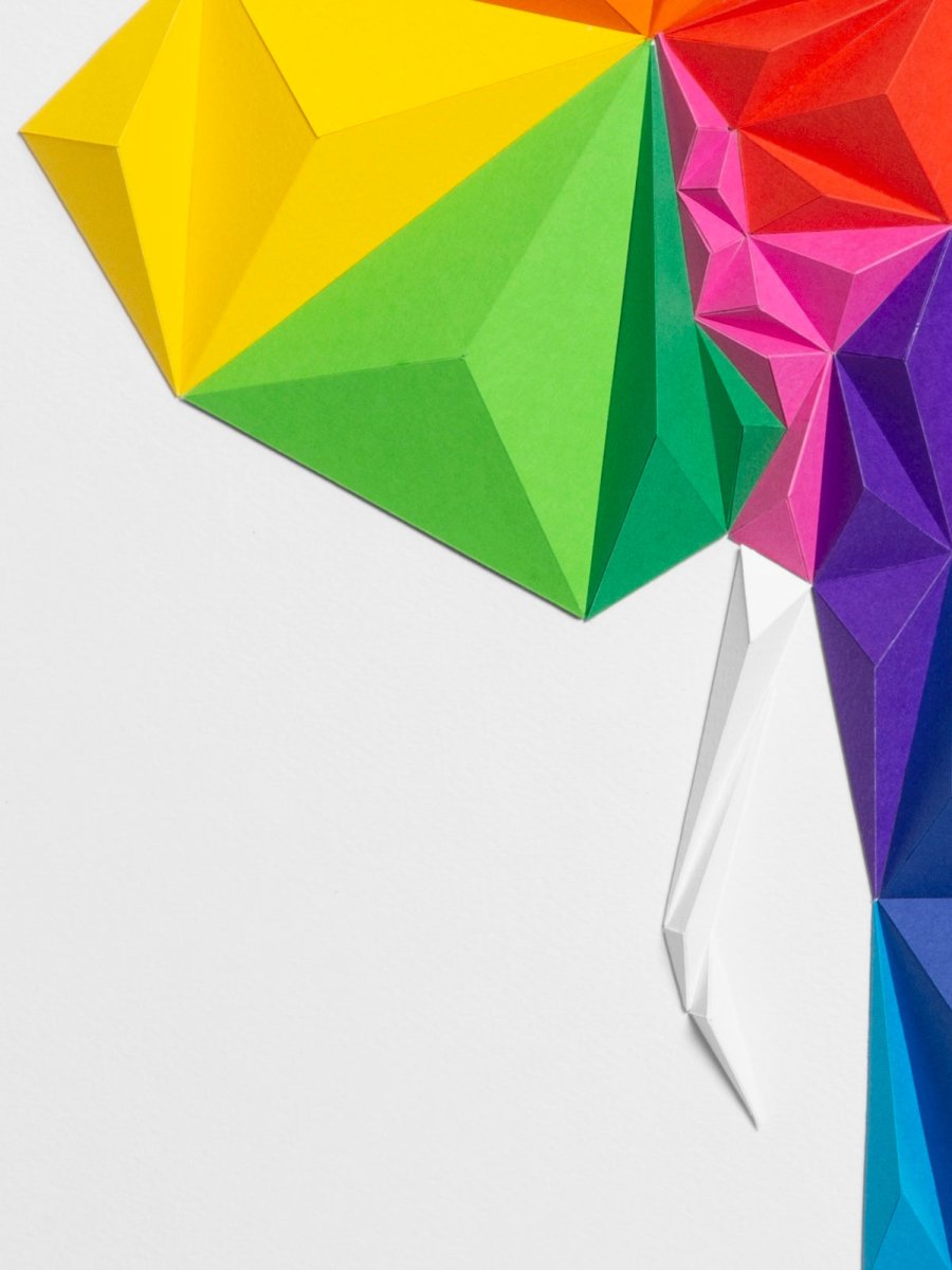 Elephant - White / Multicolor Tablo