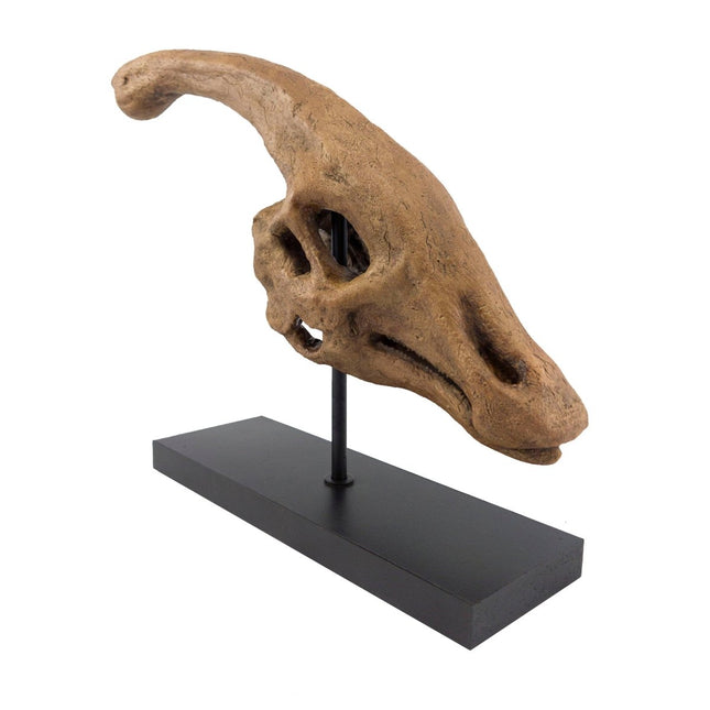 The Fossil Art - Parasaurolophus Fosil Heykeli - Heykel
