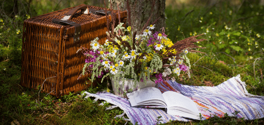 Piknik Çekimlerinde Dikkat Edilmesi Gerekenler 📸  🧺 🌳 - NowShopFun