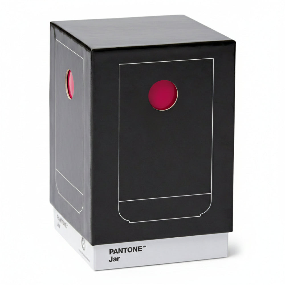 Pantone Porselen Vazo