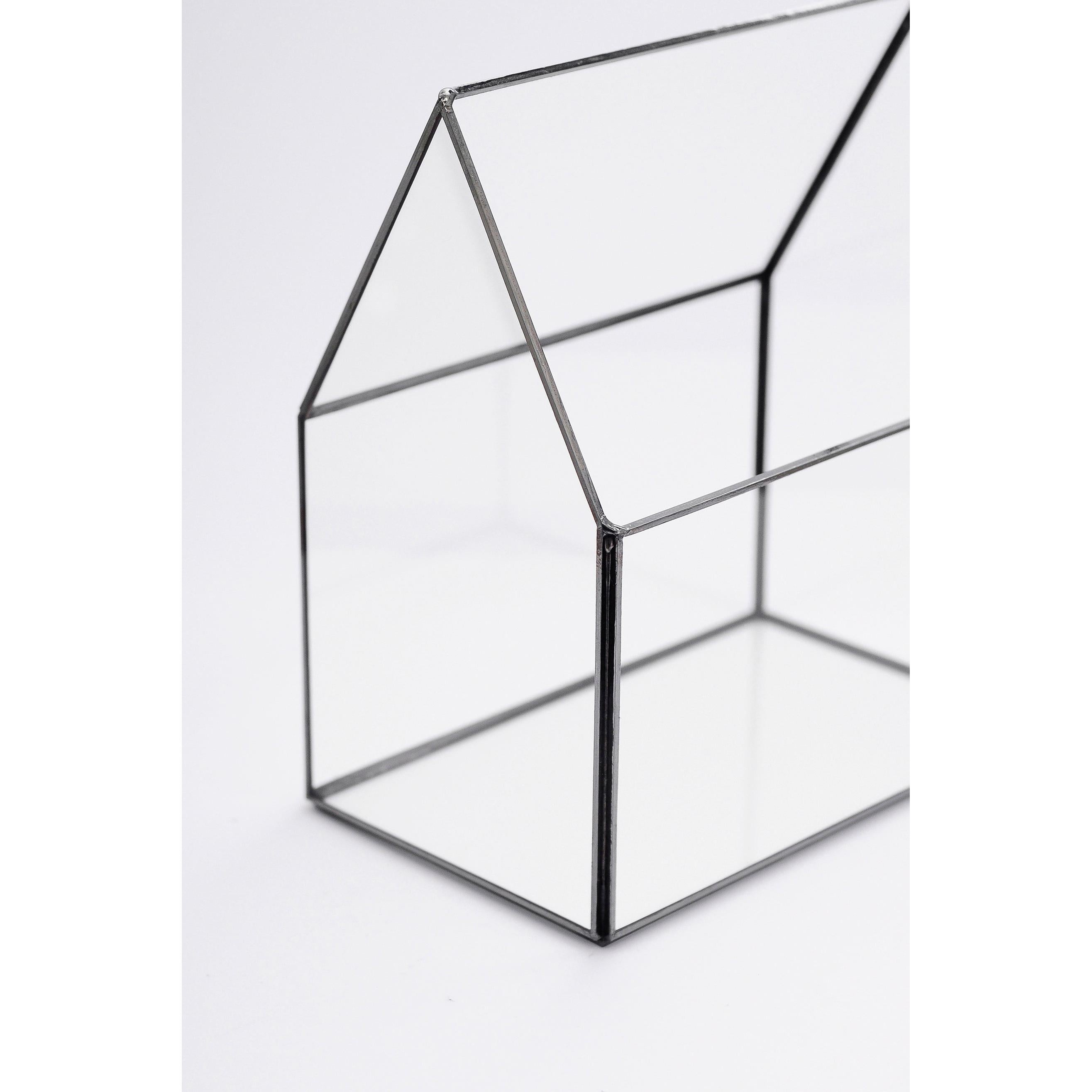 Cam Fanus | Geometrik Teraryum