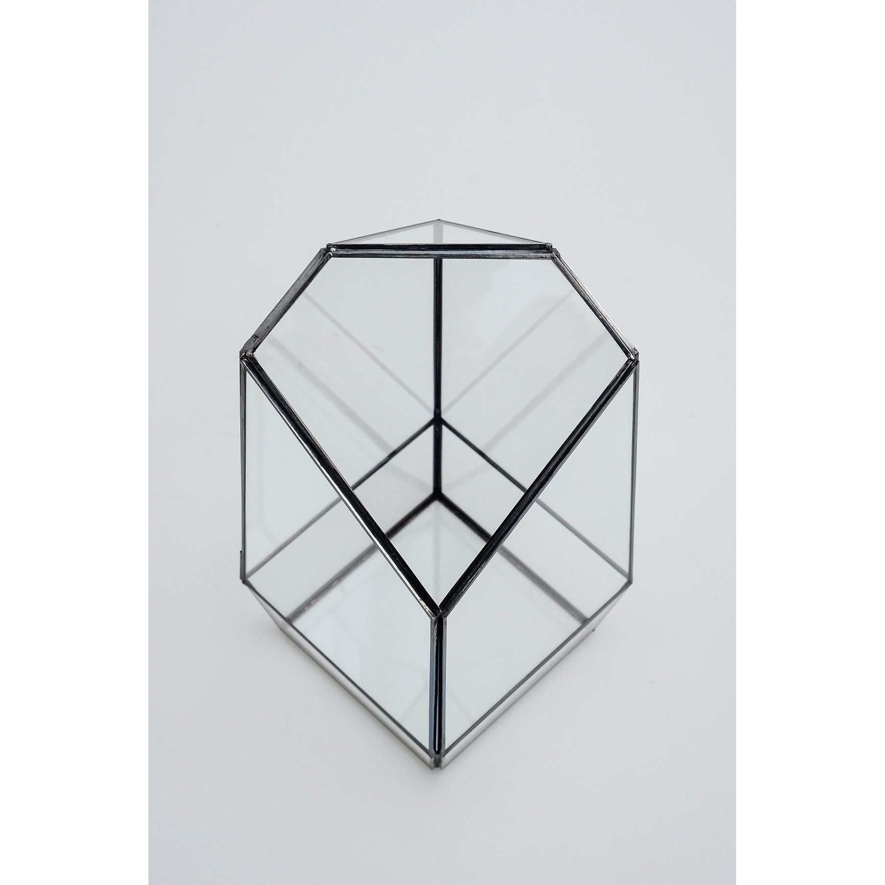 Cam Fanus | Geometrik Teraryum | Kapaklı