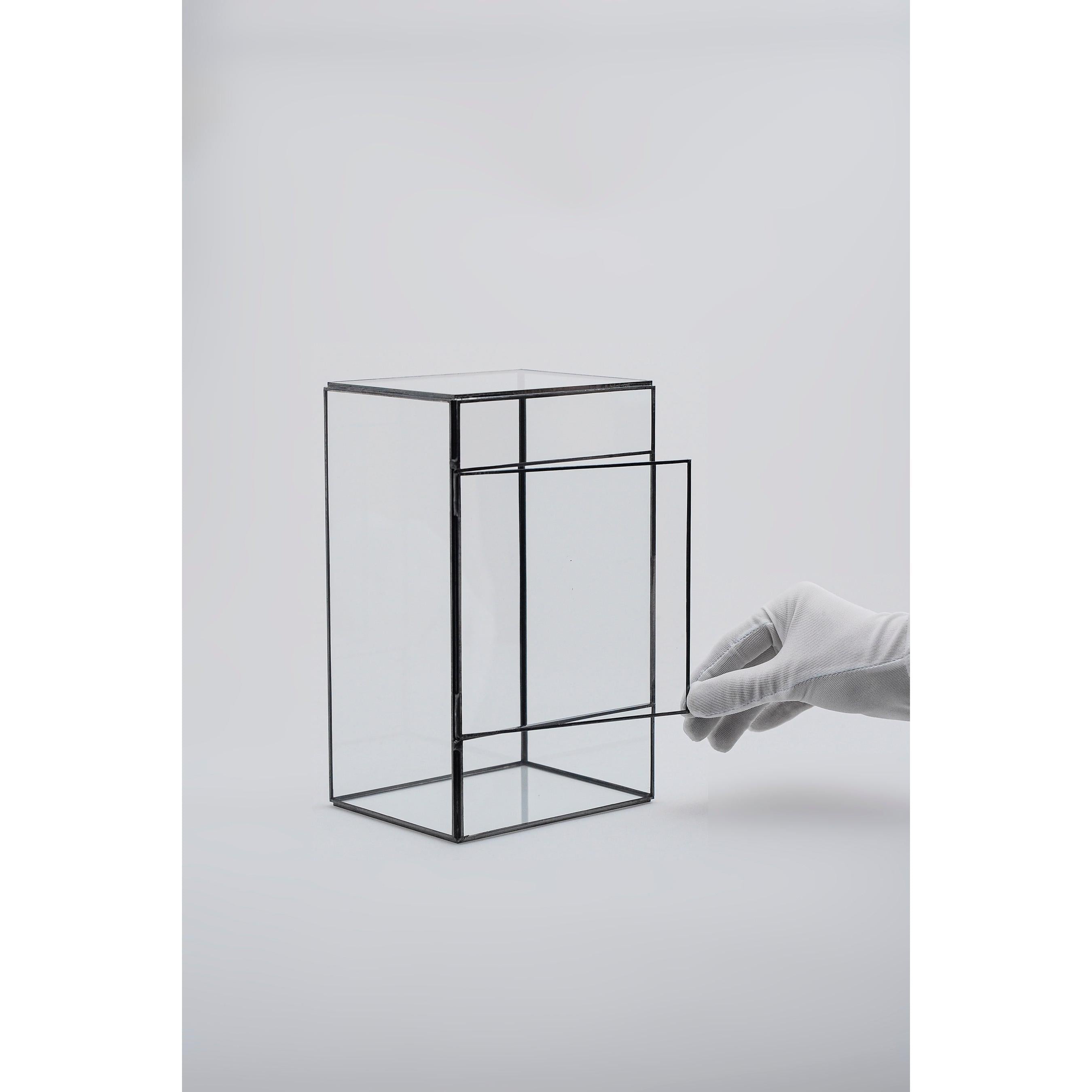 Cam Fanus | Geometrik Teraryum