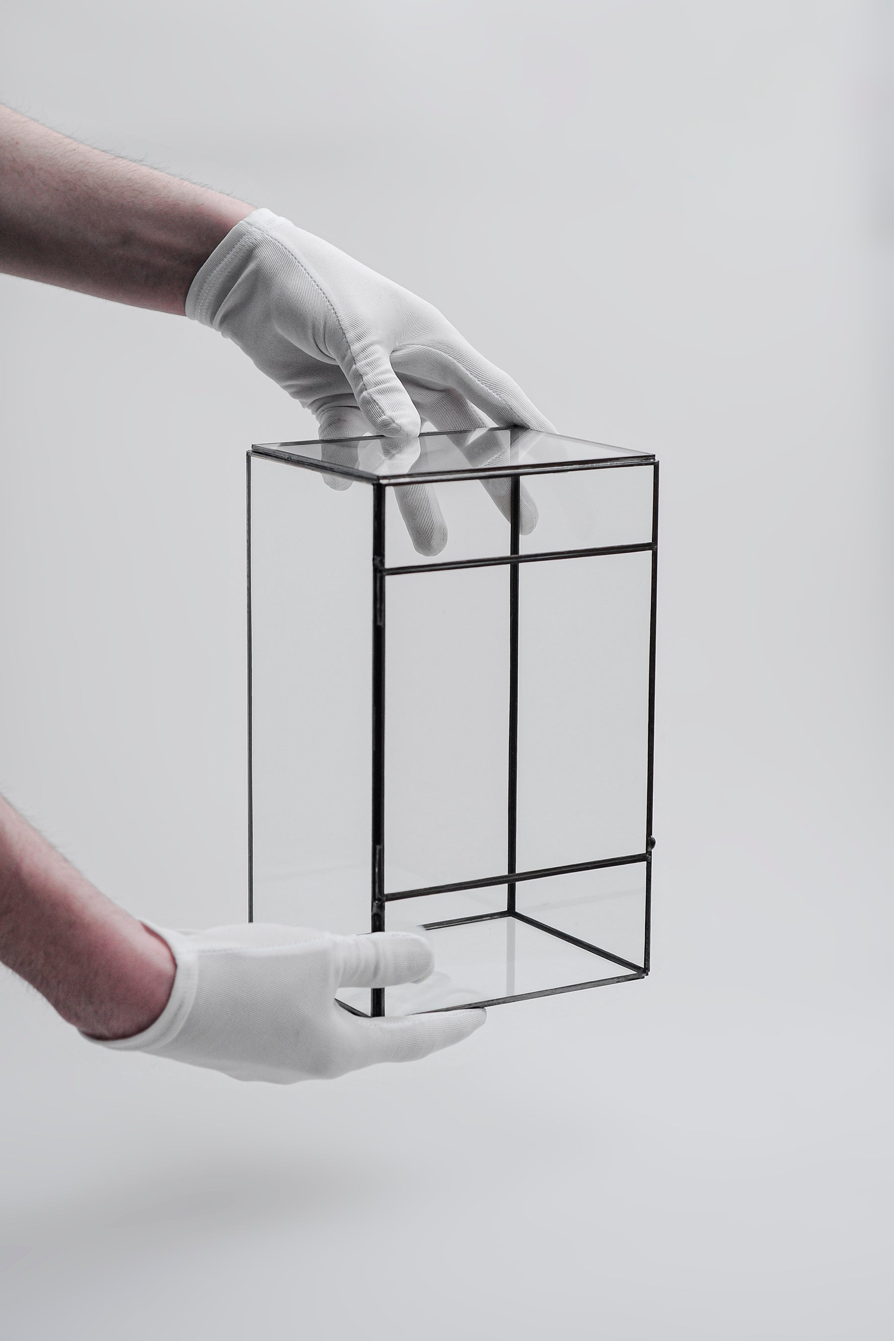 Cam Fanus | Geometrik Teraryum