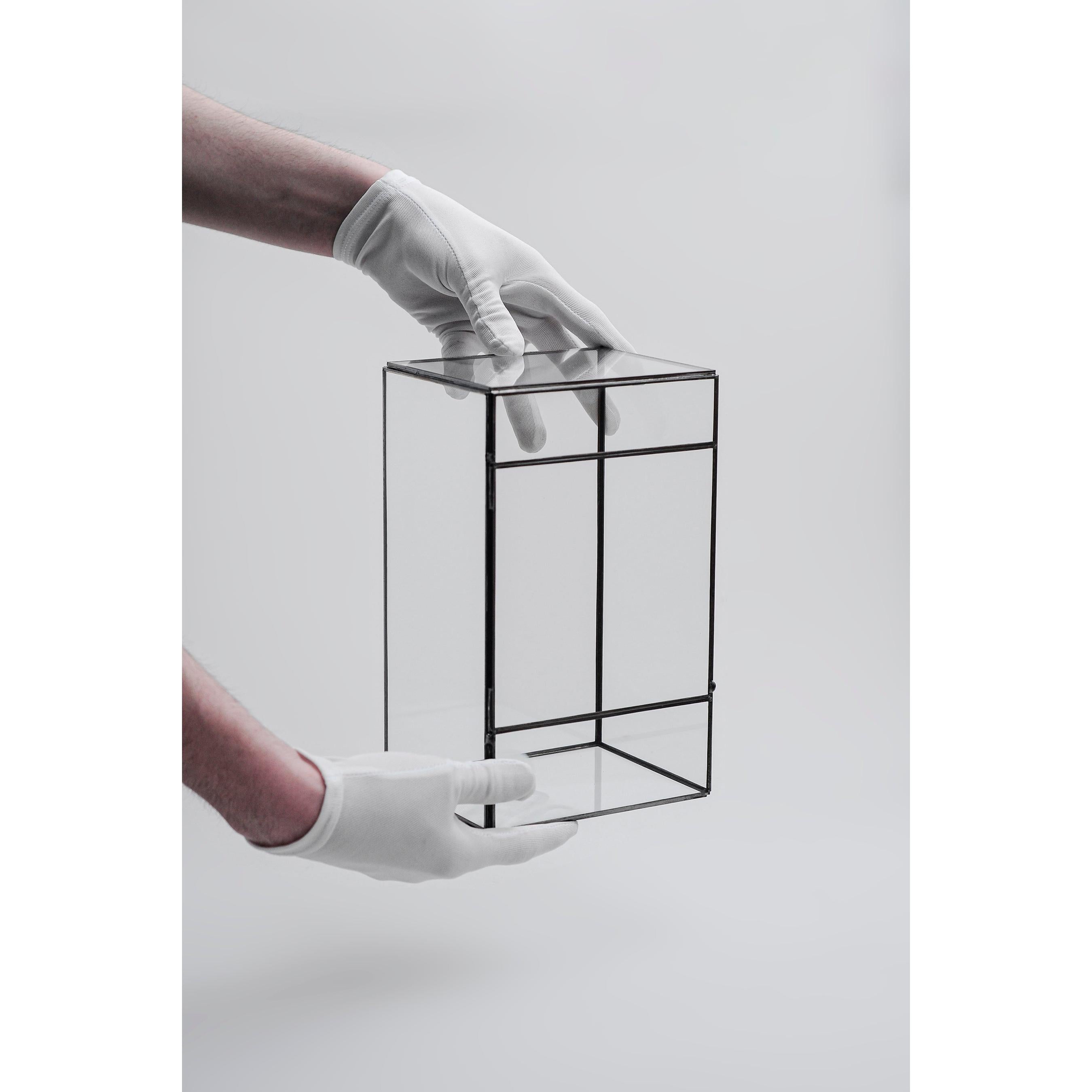 Cam Fanus | Geometrik Teraryum