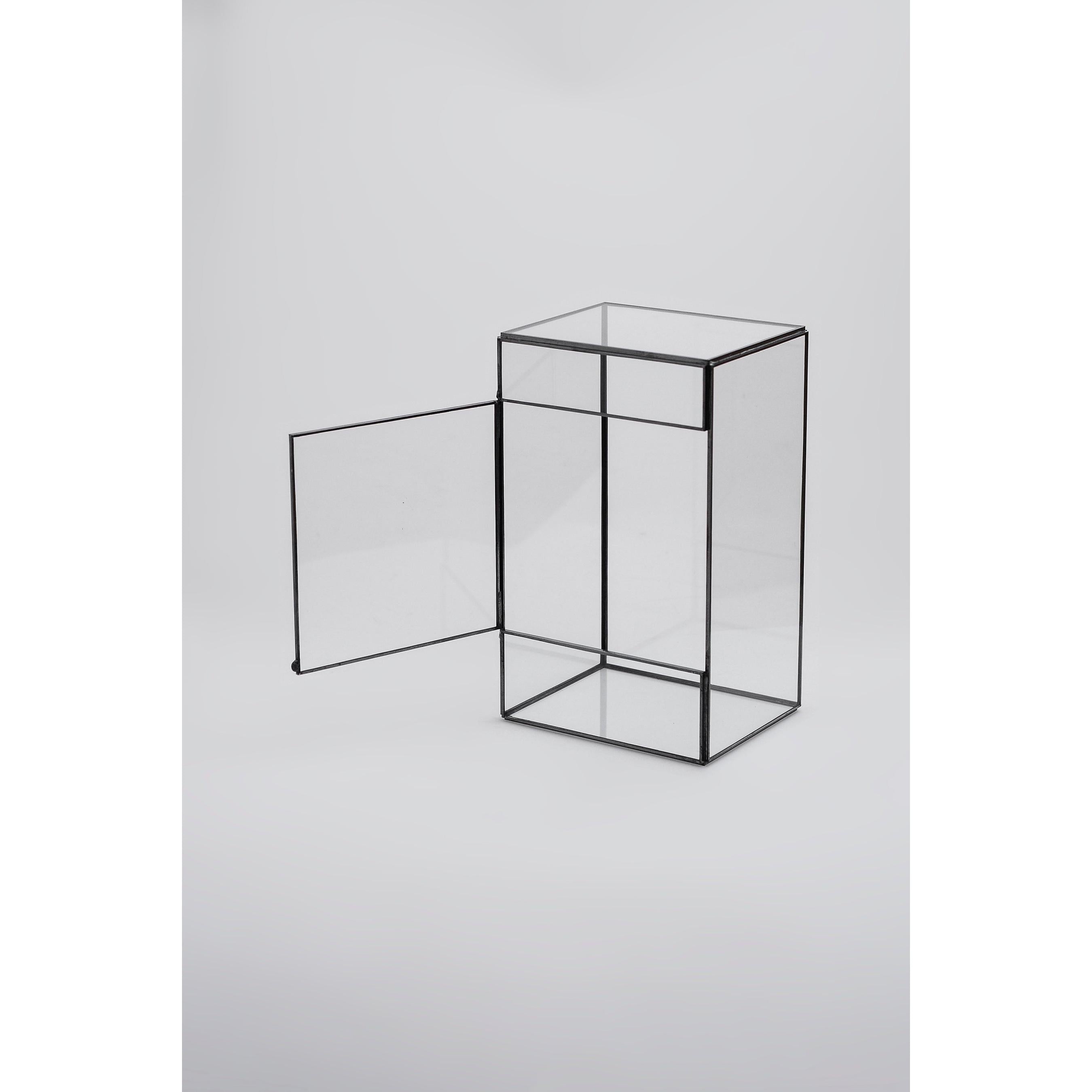 Cam Fanus | Geometrik Teraryum