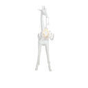 Giraffe In Love Xs Beyaz Masaüstü Aydınlatması