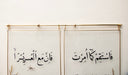 2'li Yusufçuk Çerçeve Artwork