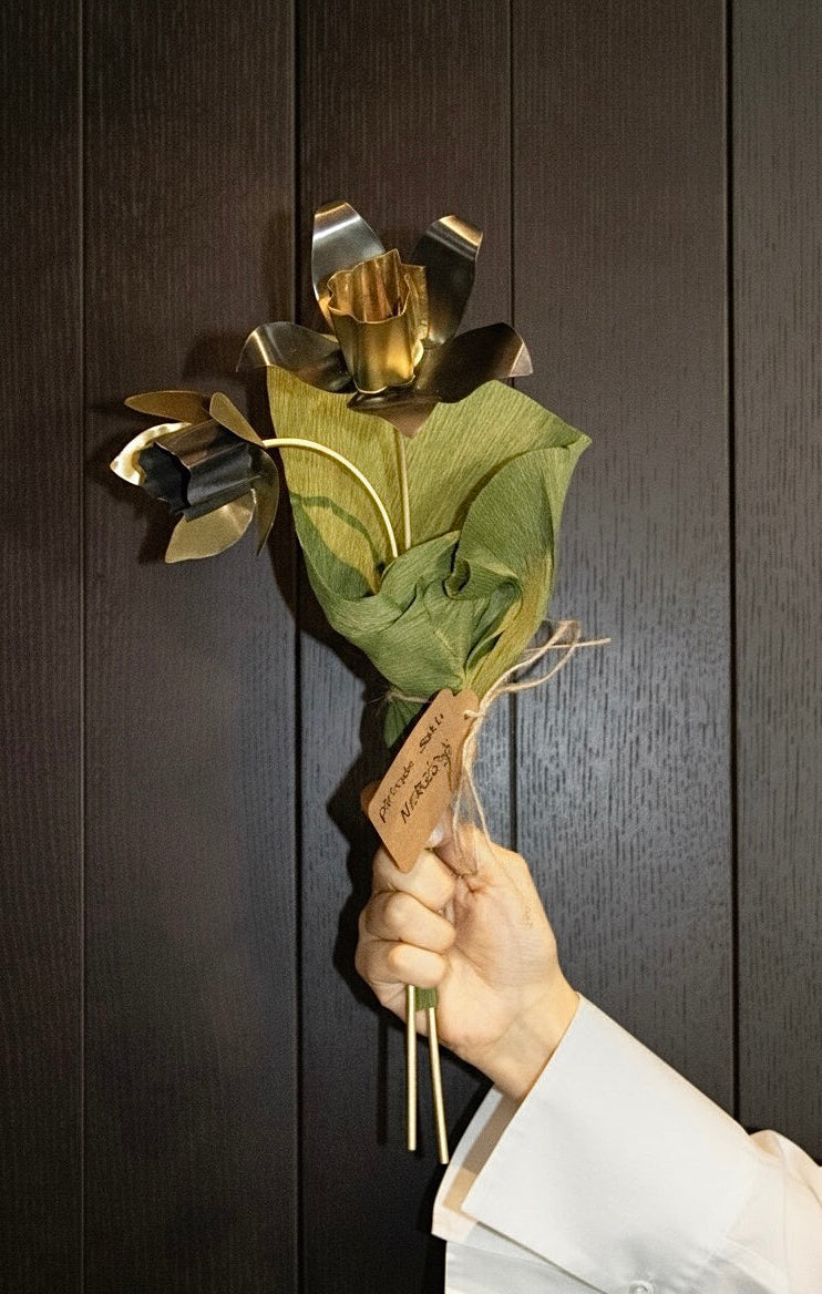 2'li 'Nergis'