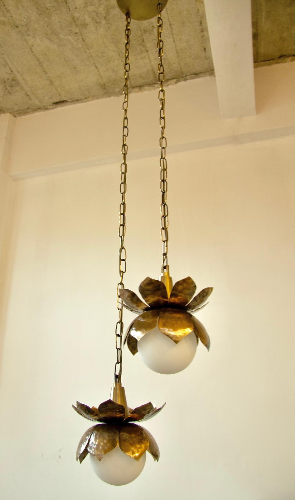 2'li Sarkıt Manolya