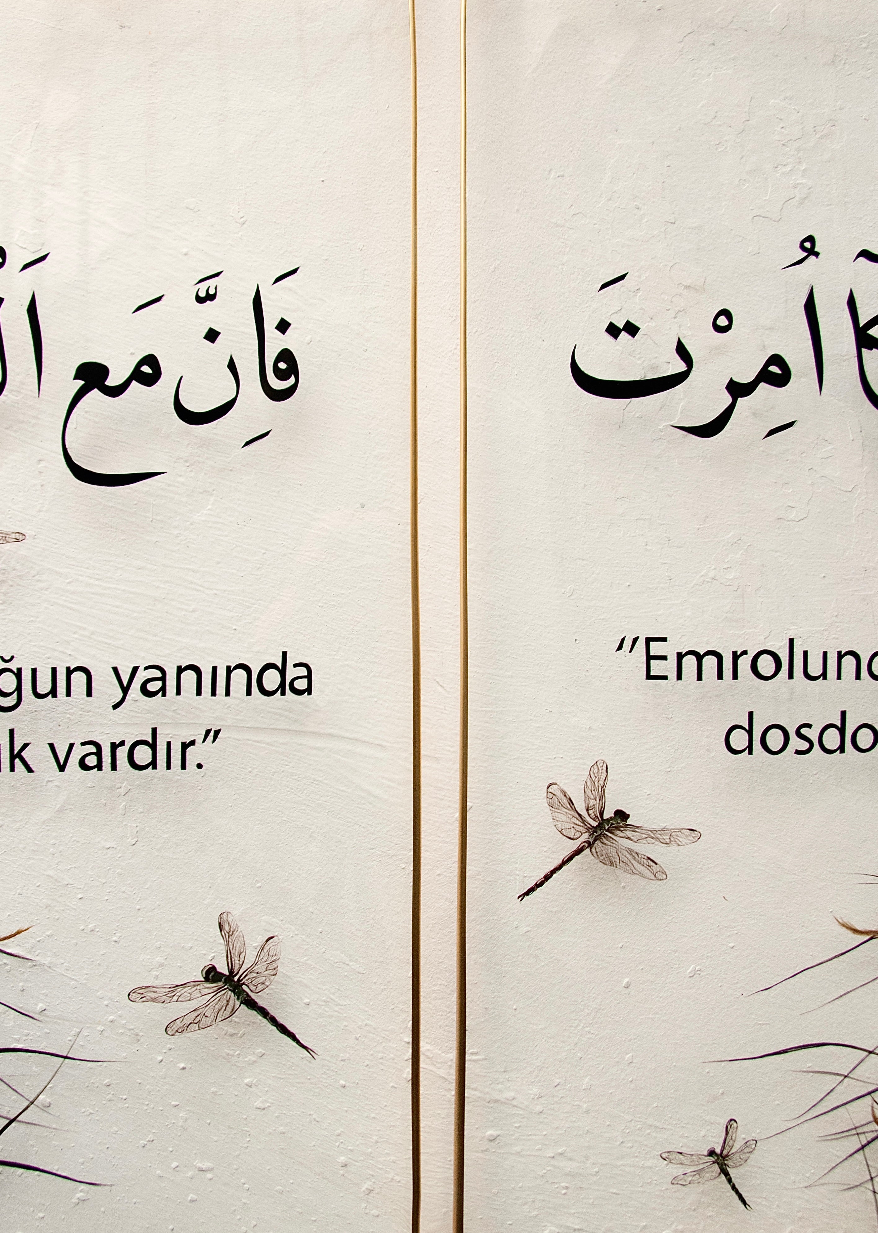2'li Yusufçuk Çerçeve