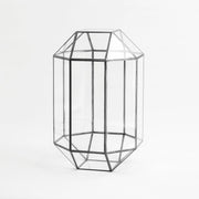 Cam Fanus | Geometrik Teraryum