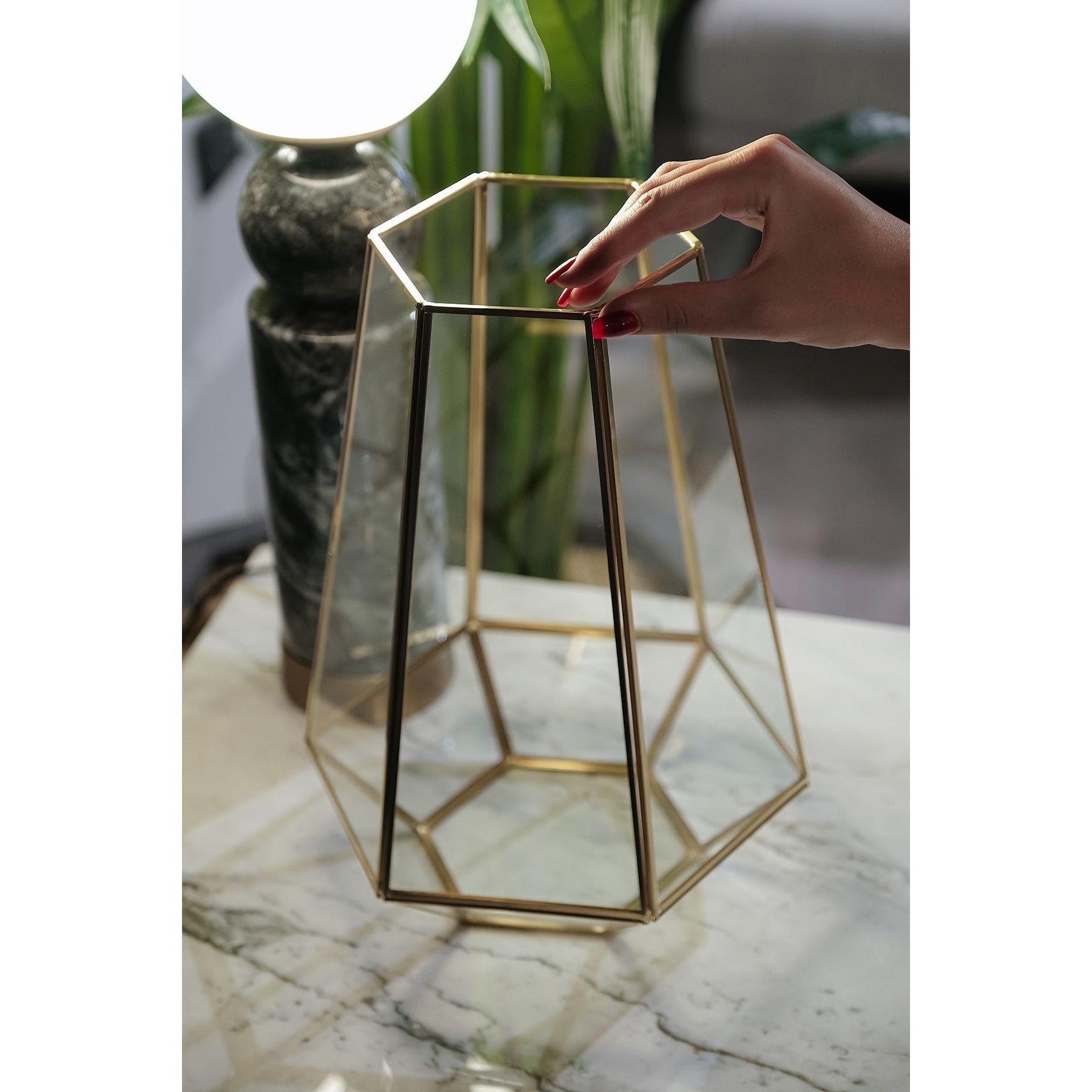 Vazo | Geometrik Teraryum