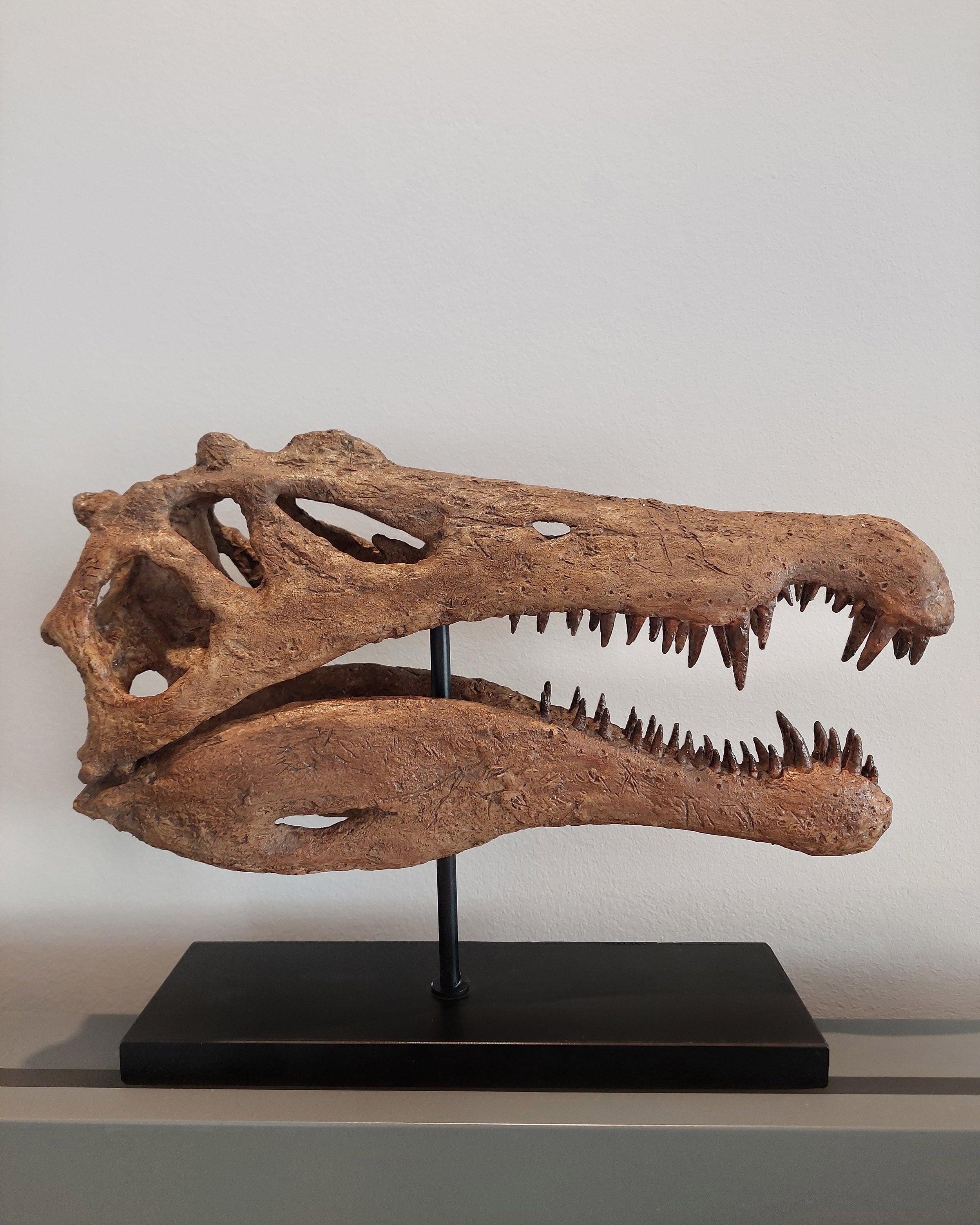 Spinosaurus Large Fossil Statue