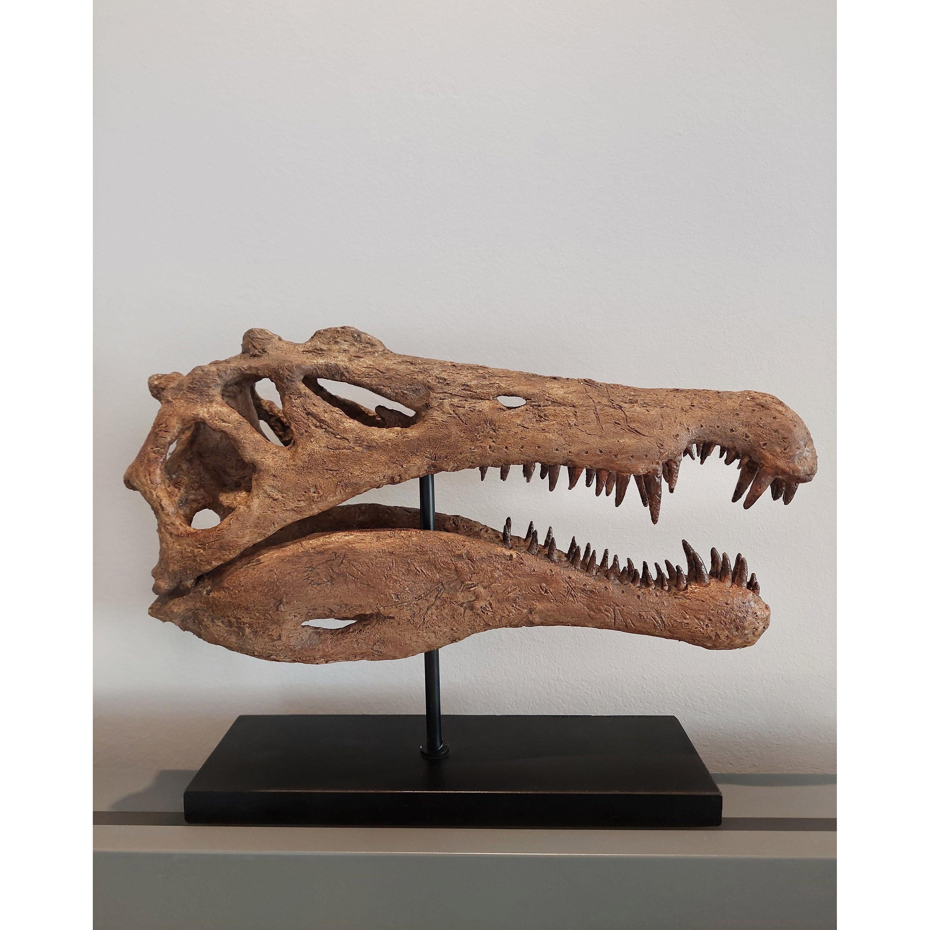 Spinosaurus Large Fossil Statue