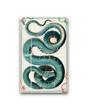 Dialectic  3'lü Set Tablo