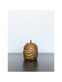 Ananas Kutu