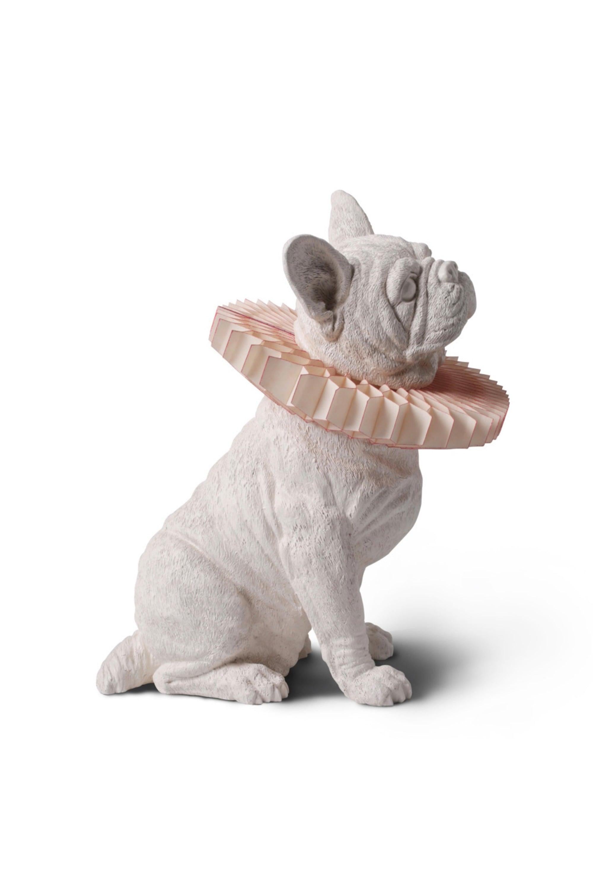 Animal Dekoratif Aydınlatma