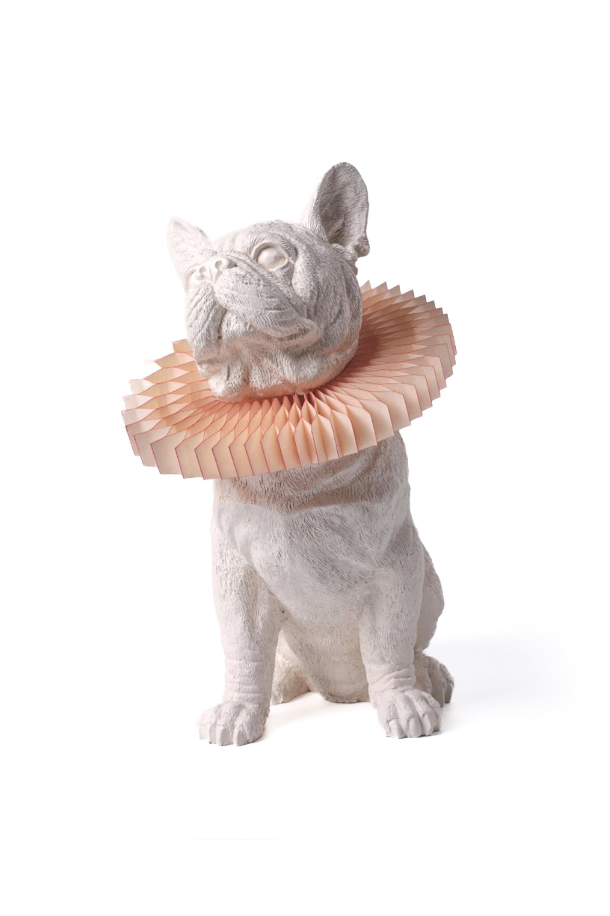 Animal Dekoratif Aydınlatma