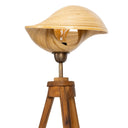 Bambu Tripod Aydınlatma