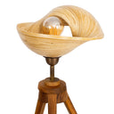 Bambu Tripod Aydınlatma