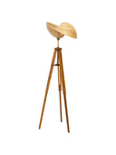 Bambu Tripod Aydınlatma