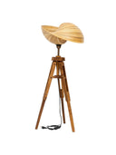 Bambu Tripod Aydınlatma