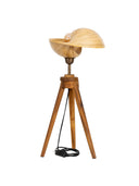 Bambu Tripod Aydınlatma
