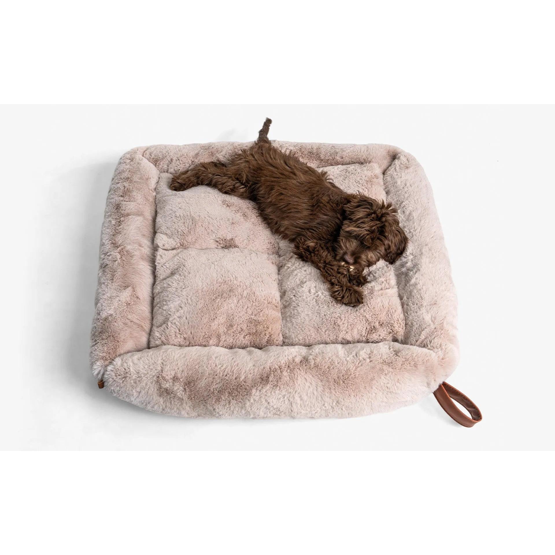 Beddo Köpek Yatağı