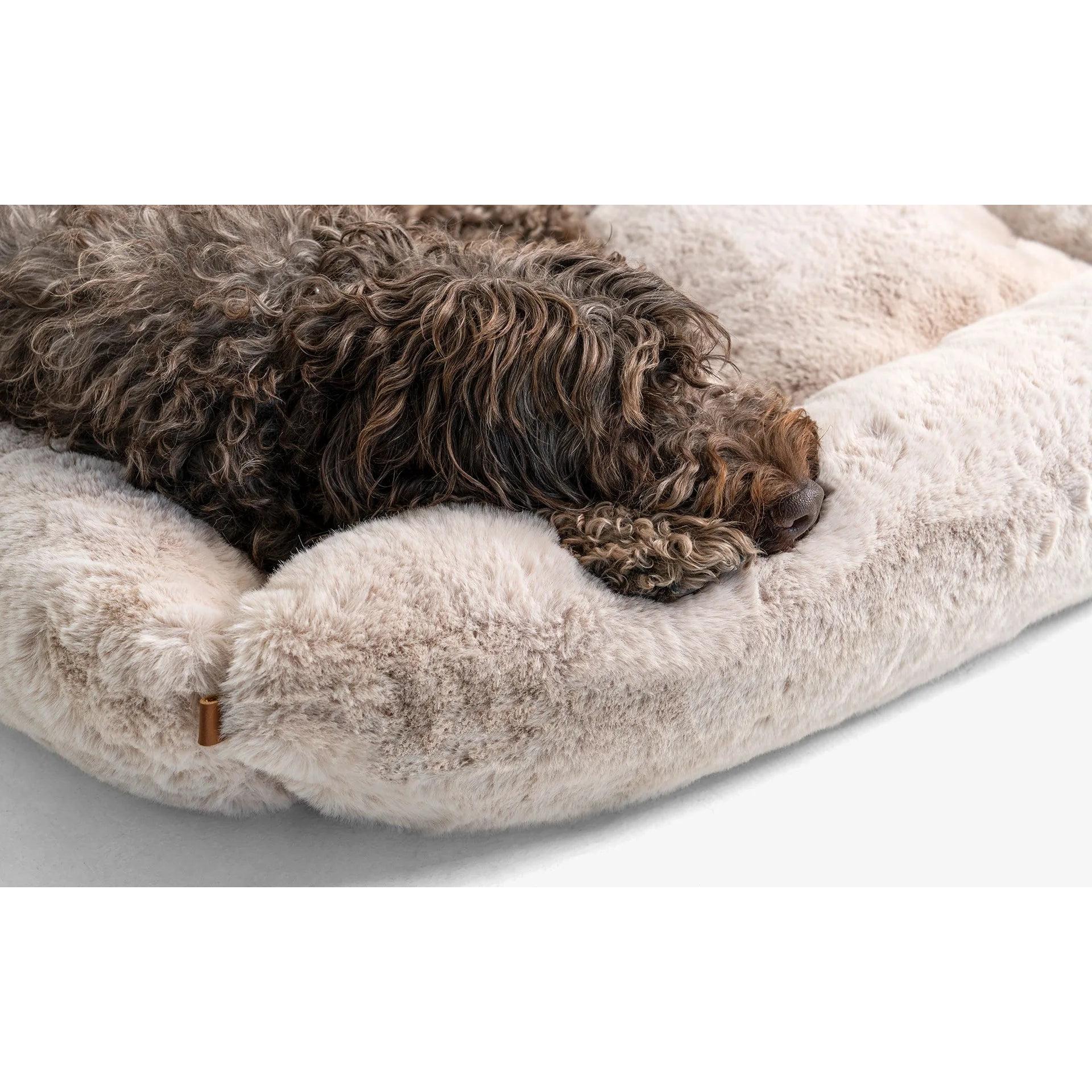 Beddo Köpek Yatağı