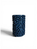 Blueberries Vazo
