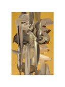 Bones Tablo