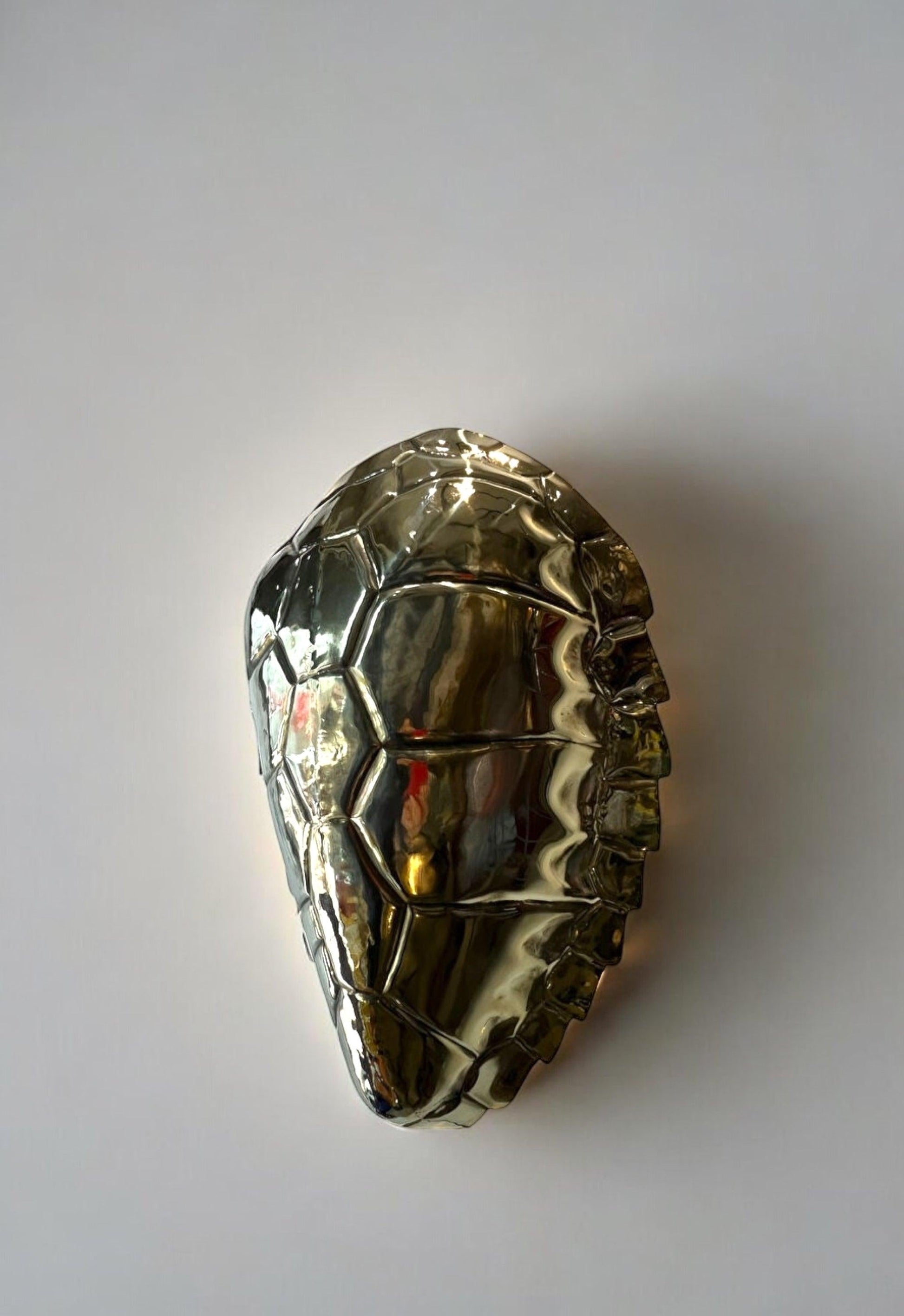 Brass Turtle Duvar Aydınlatması