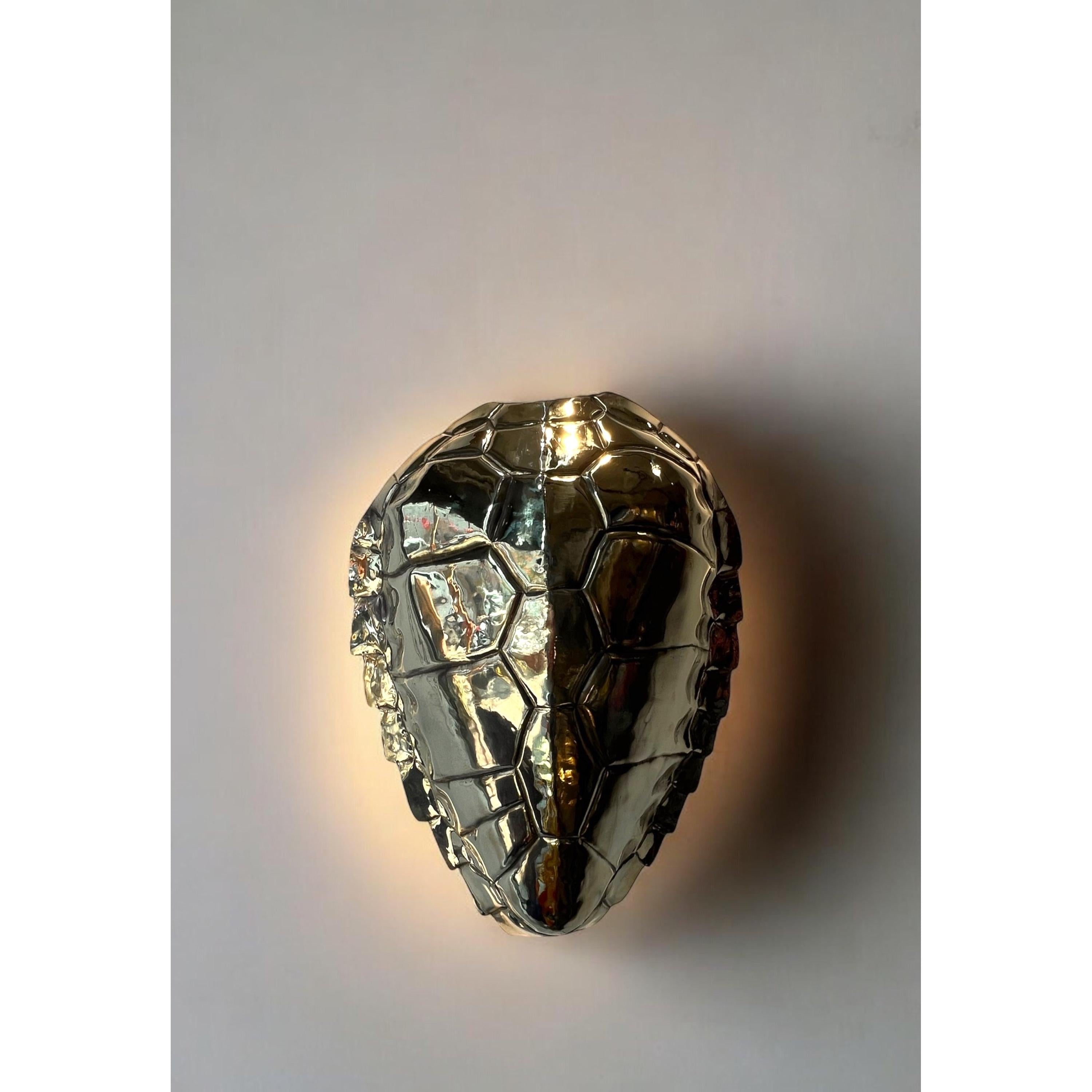 Brass Turtle Duvar Aydınlatması