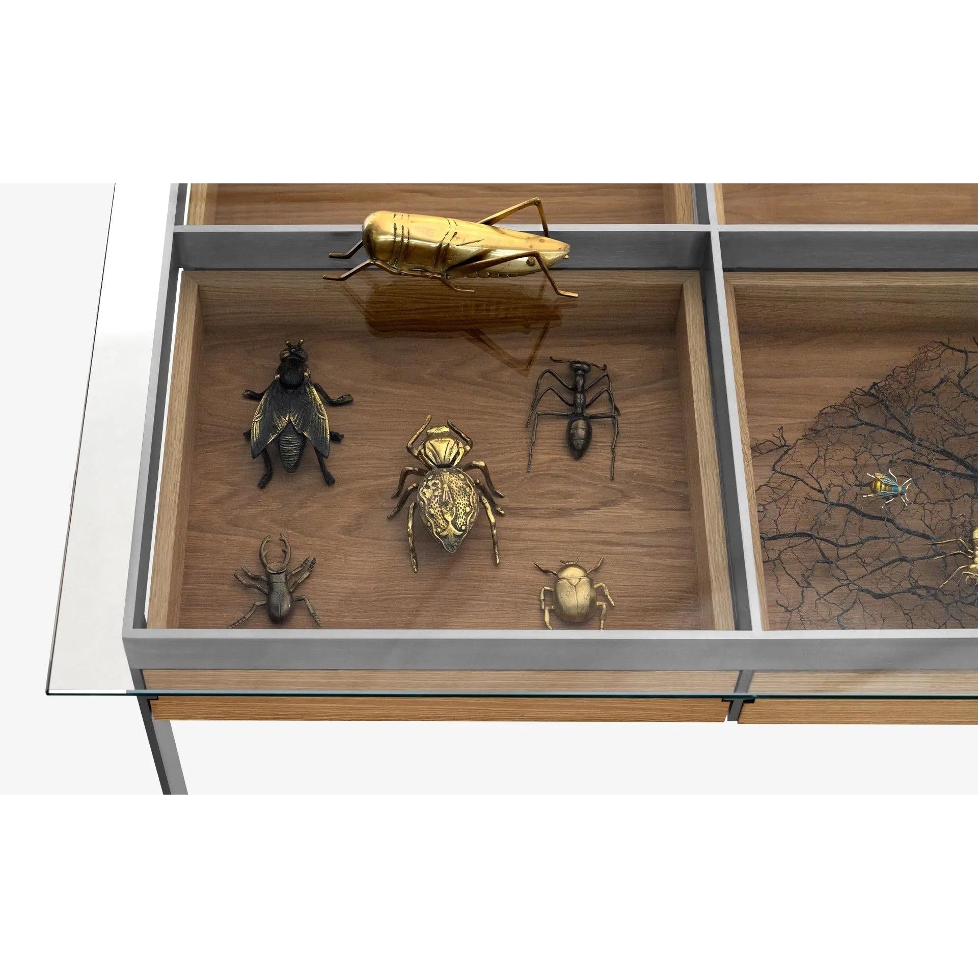 Burēdo Çekmeceli Sergileme Ve Çalışma Masası