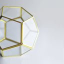 Cam Fanus | Geometrik Teraryum